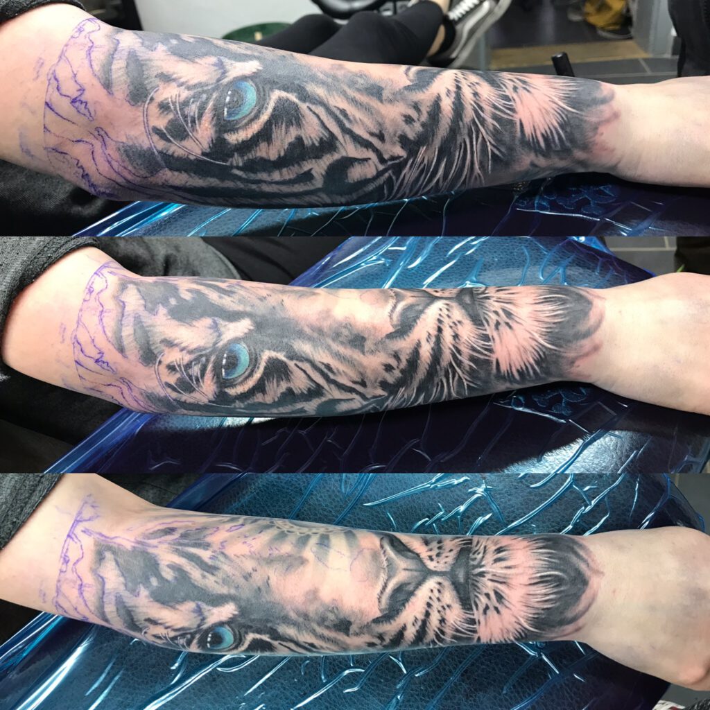 Tiger